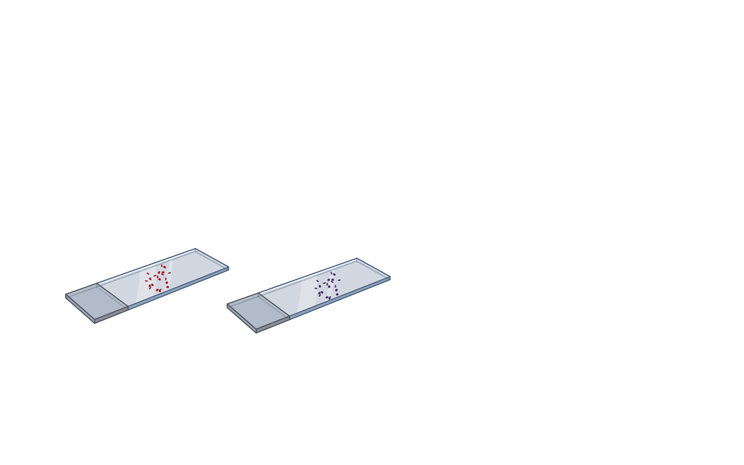 Step 2: Incubate the mixture